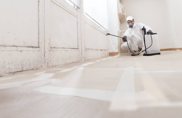 24/7 Emergency Mold Inspection experts in Paris, IL